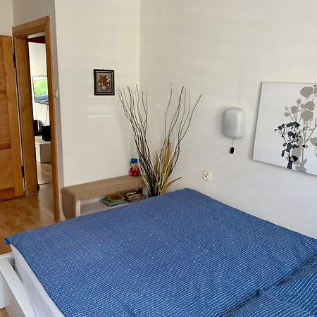 Apartament Joanna Parter Blisko Onkologii I Strefy Ekonomicznej غليفيتسه المظهر الخارجي الصورة