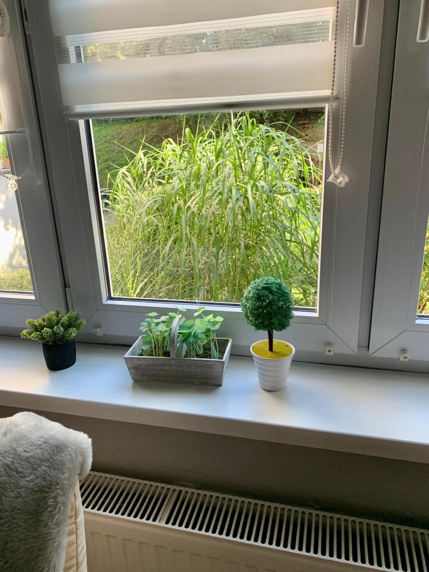 Apartament Joanna Parter Blisko Onkologii I Strefy Ekonomicznej غليفيتسه المظهر الخارجي الصورة